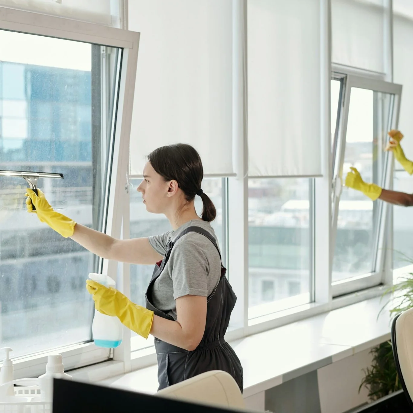 Fensterreinigung